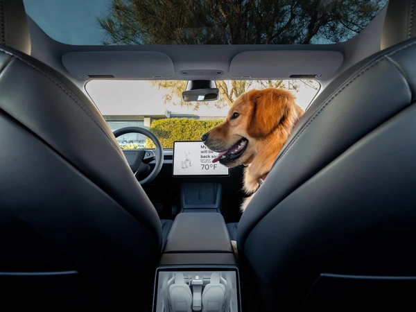 interior renting tesla model 3