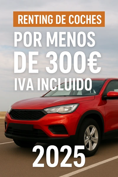 renting por menos de 300 euros al mes iva incluido